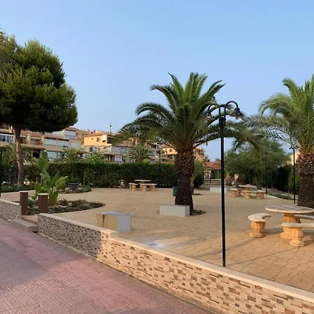 Under The Palm Trees Torrevieja