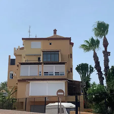 Under The Palm Trees Apartment