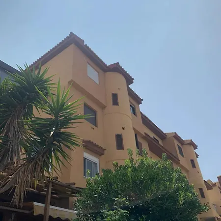 Under The Palm Trees Apartment *