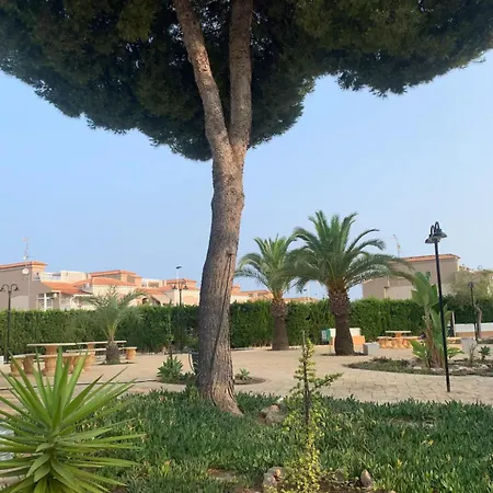Appartamento Under The Palm Trees