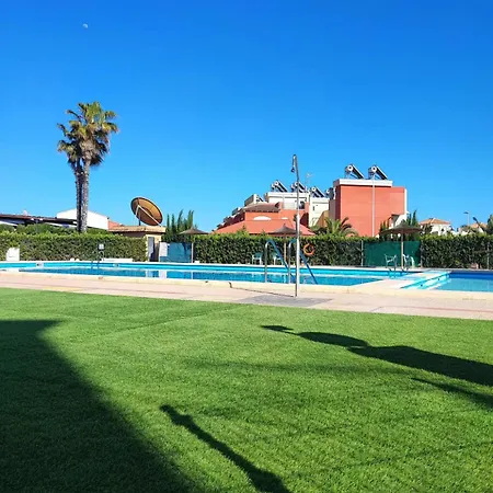 Apartment Under The Palm Trees Torrevieja