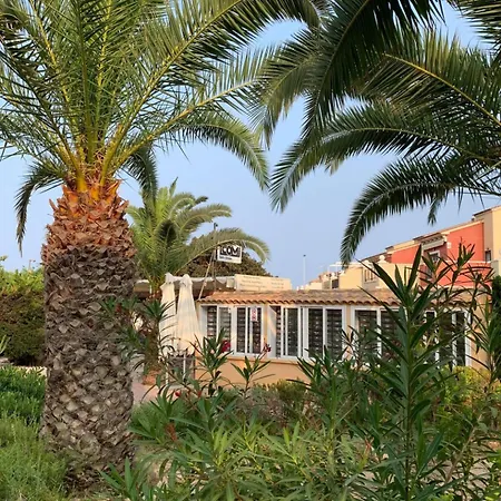 Under The Palm Trees Apartment