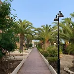 Under The Palm Trees * 또레비에하