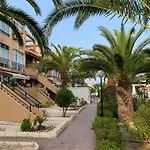 Under The Palm Trees