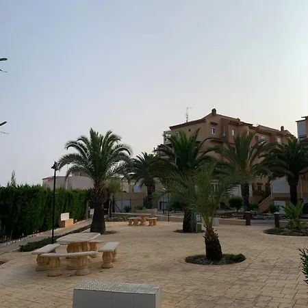 Under The Palm Trees Torrevieja