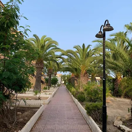 Under The Palm Trees * Torrevieja