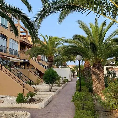 Under The Palm Trees