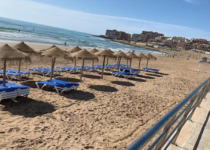 Under The Palm Trees Apartment Torrevieja