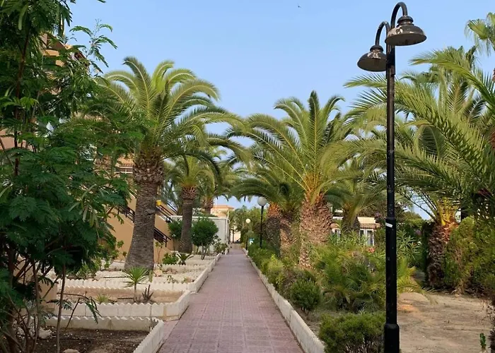 Under The Palm Trees * Torrevieja