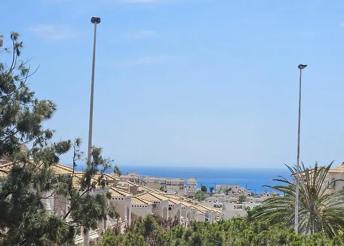 Under The Palm Trees * Torrevieja
