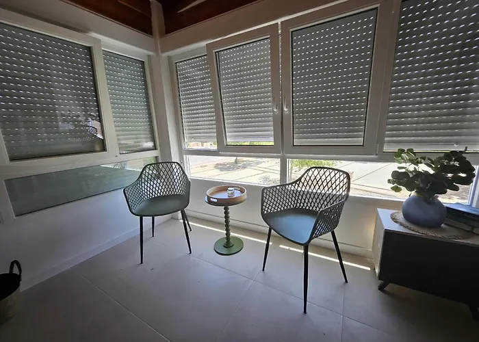 Under The Palm Trees Apartment Torrevieja