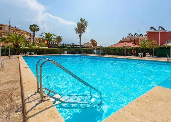 Apartment Under The Palm Trees Torrevieja